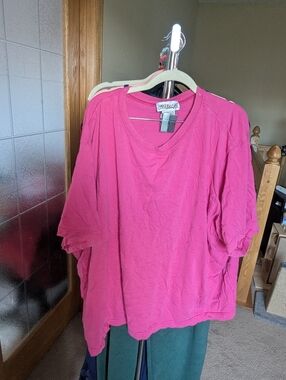 🩵Bridge Gate 4x short sleeve top